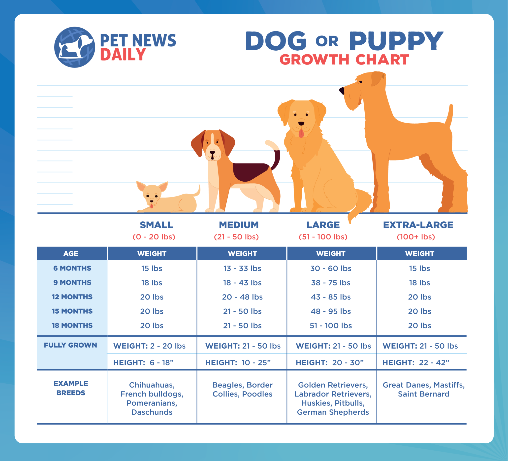 Dog or Puppy Growth Chart How Big Will Your Puppy Get Pet News Daily