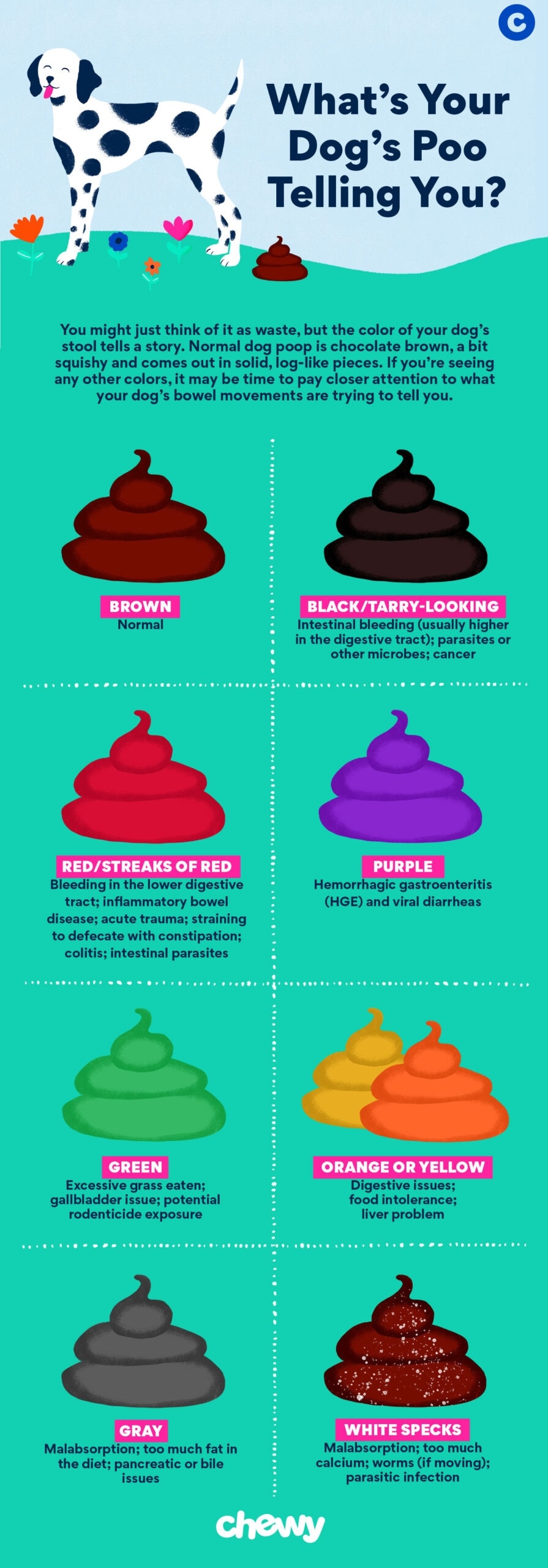 Dog Poop Color Chart Is Your Dog 39 s Poop Healthy BeChewy