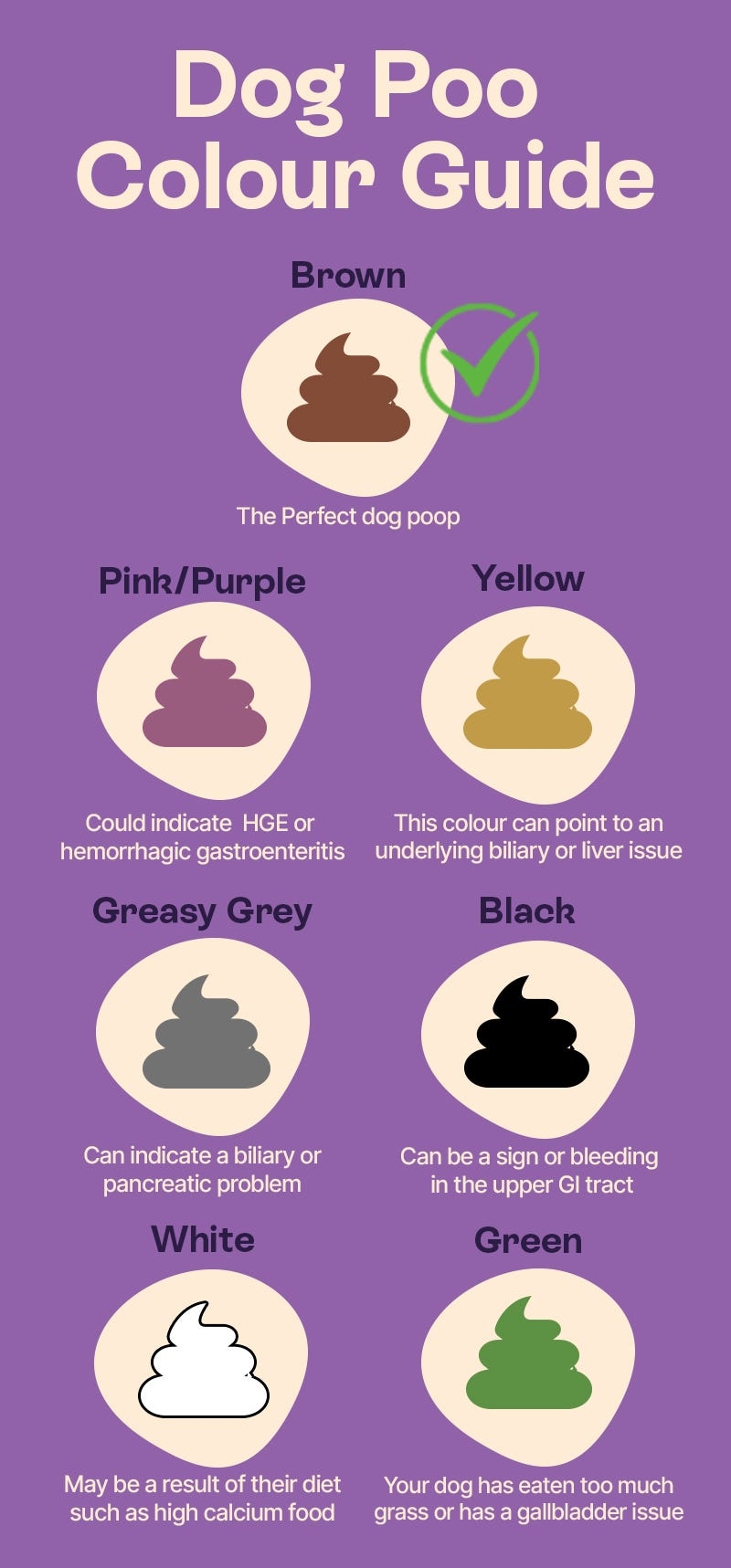dog poo colour chart dog poo colour chart