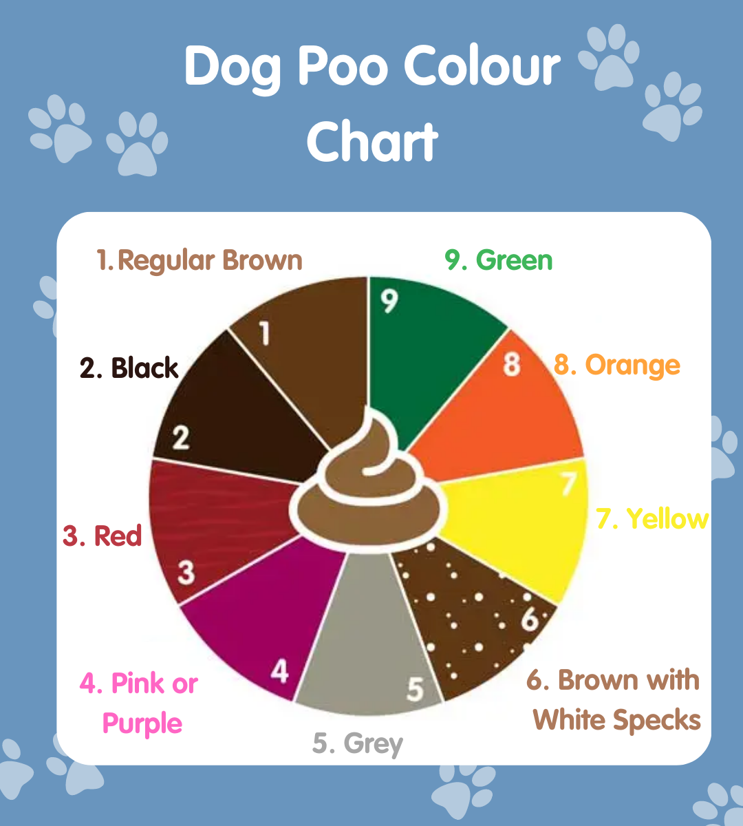 Dog Poop Color Chart What 39 s Normal Pet Drugs Online