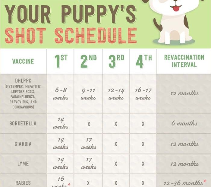 Dog Shot Schedule Chart Printable
