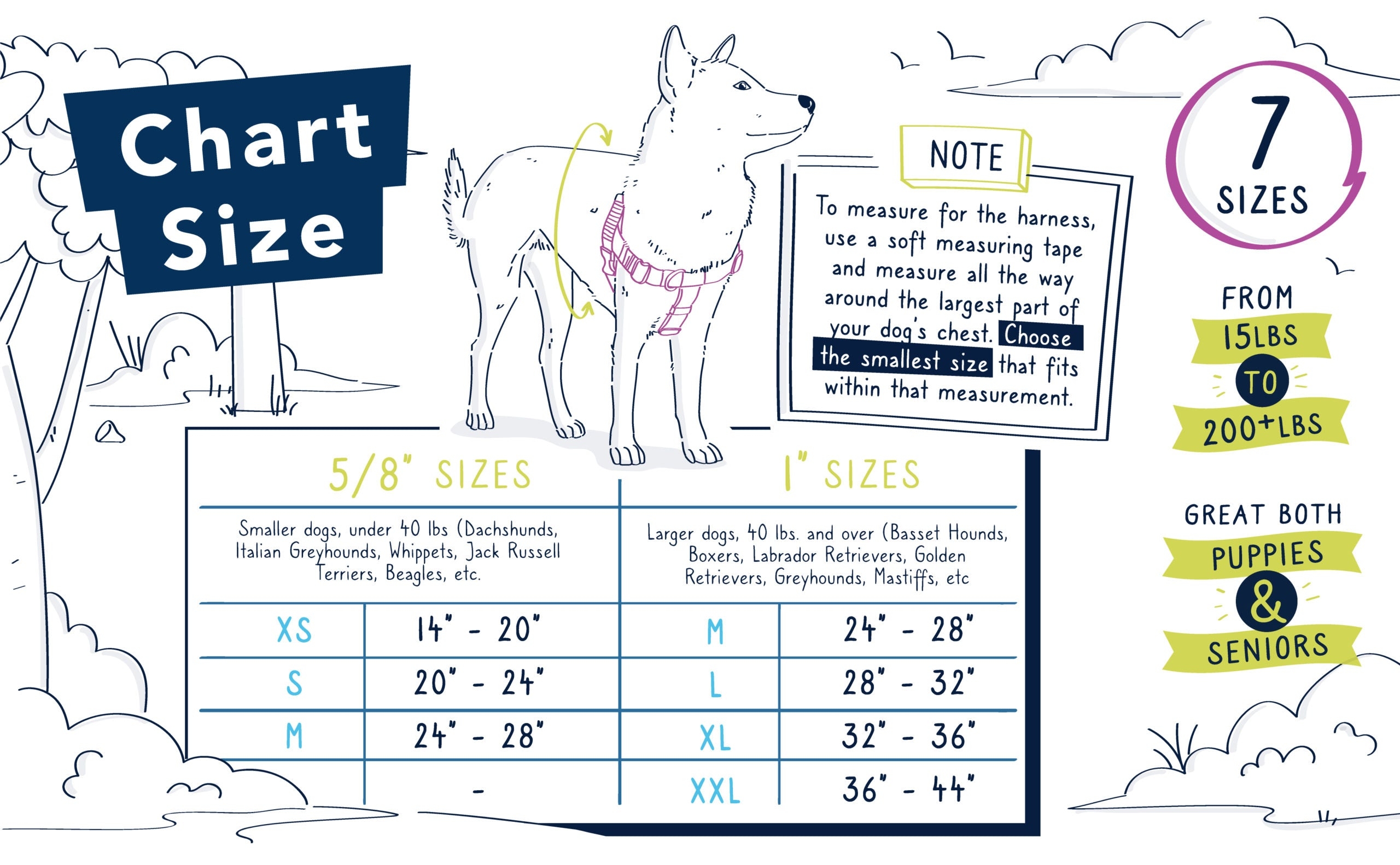 Dog Size Charts For Freedom Harnesses Collars 2 Hounds Design
