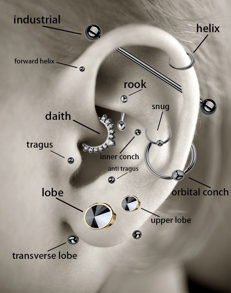 Ear Piercing Diagram With Names Ear Piercing Chart