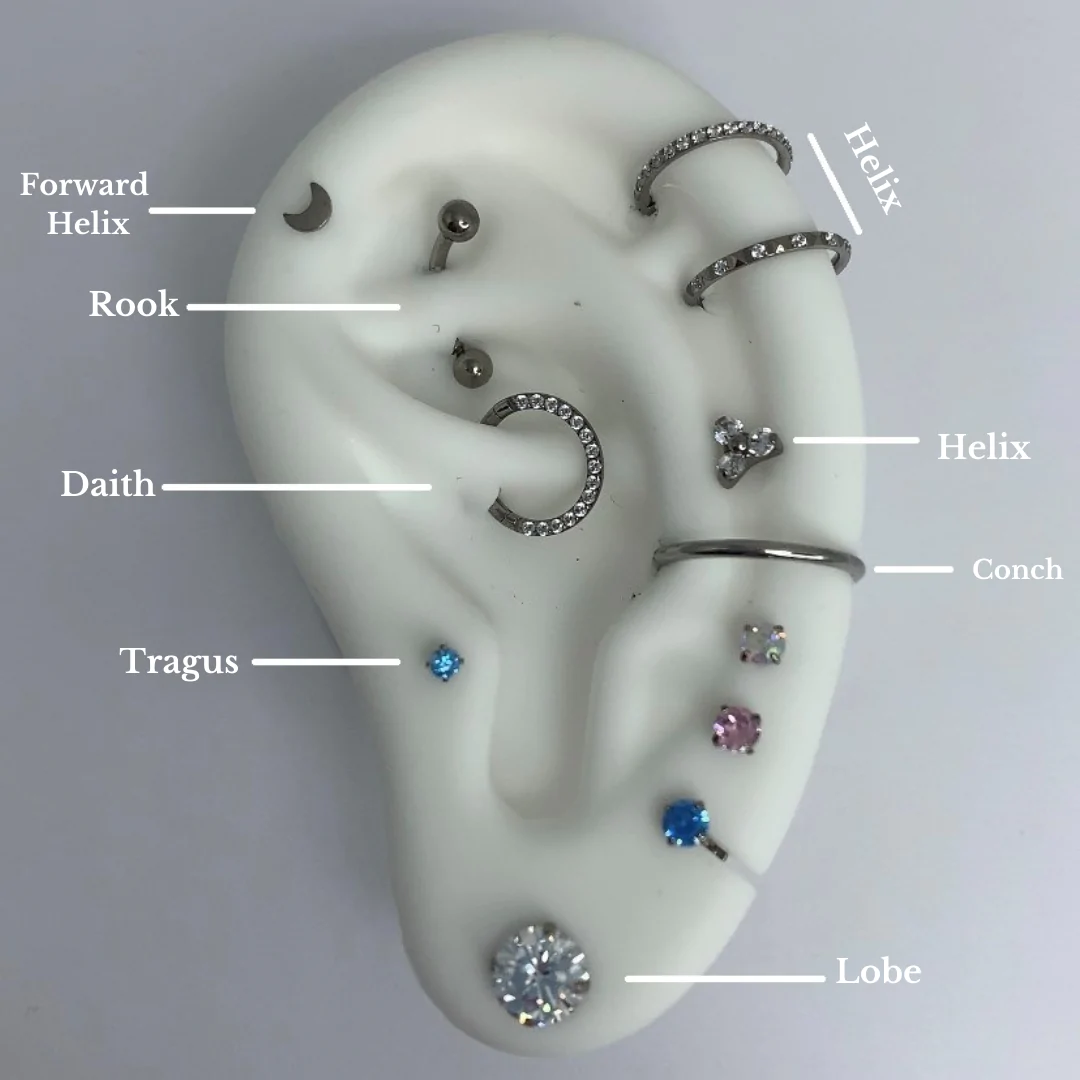 Ear Piercing Diagram With Names Ear Piercing Chart