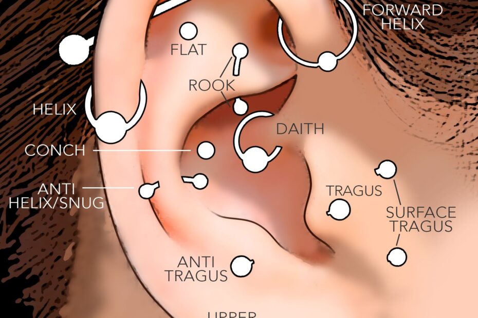 Ear Piercing Location Chart At Edna Loy Blog