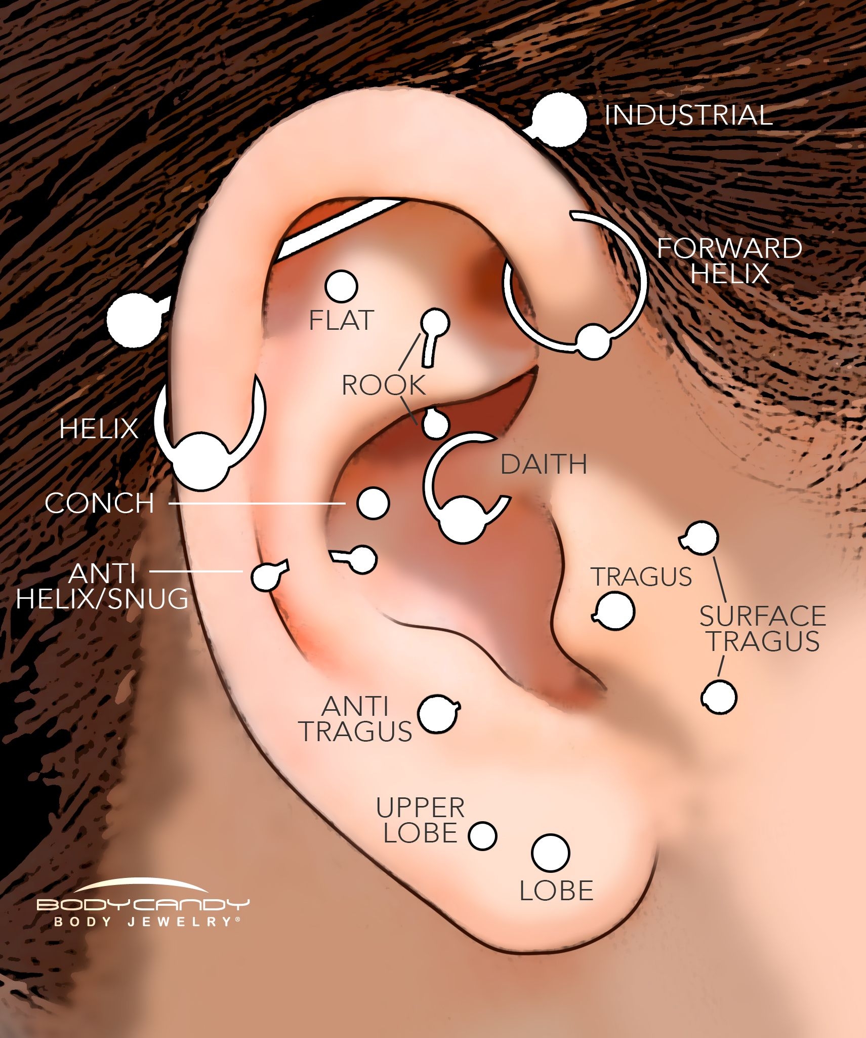 Ear Piercing Location Chart At Edna Loy Blog