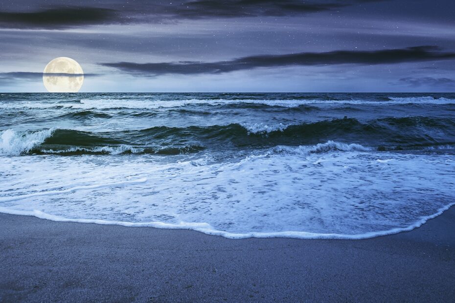 Earth 39 s Moon