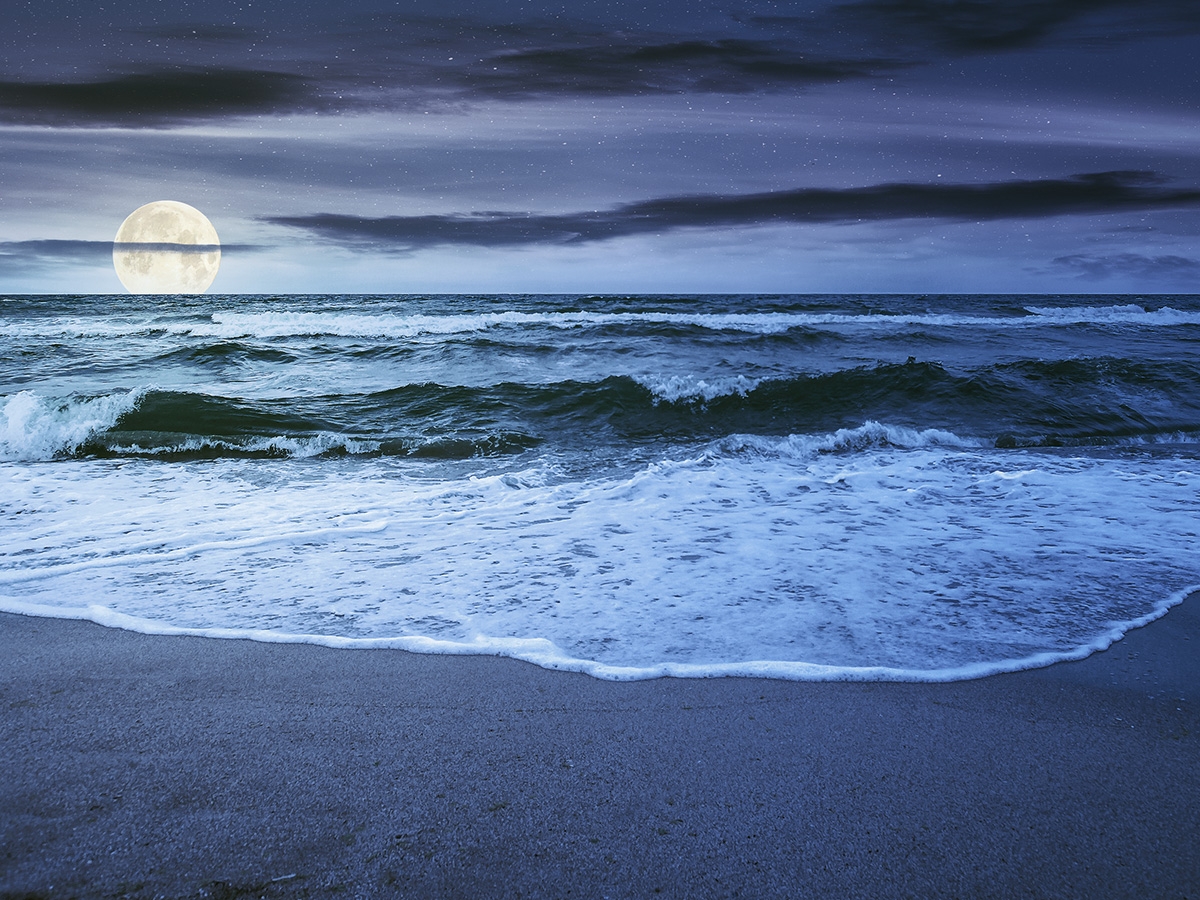 Earth 39 s Moon
