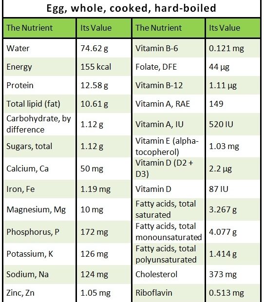 Egg Nutrition Health Benefit Or Hazard