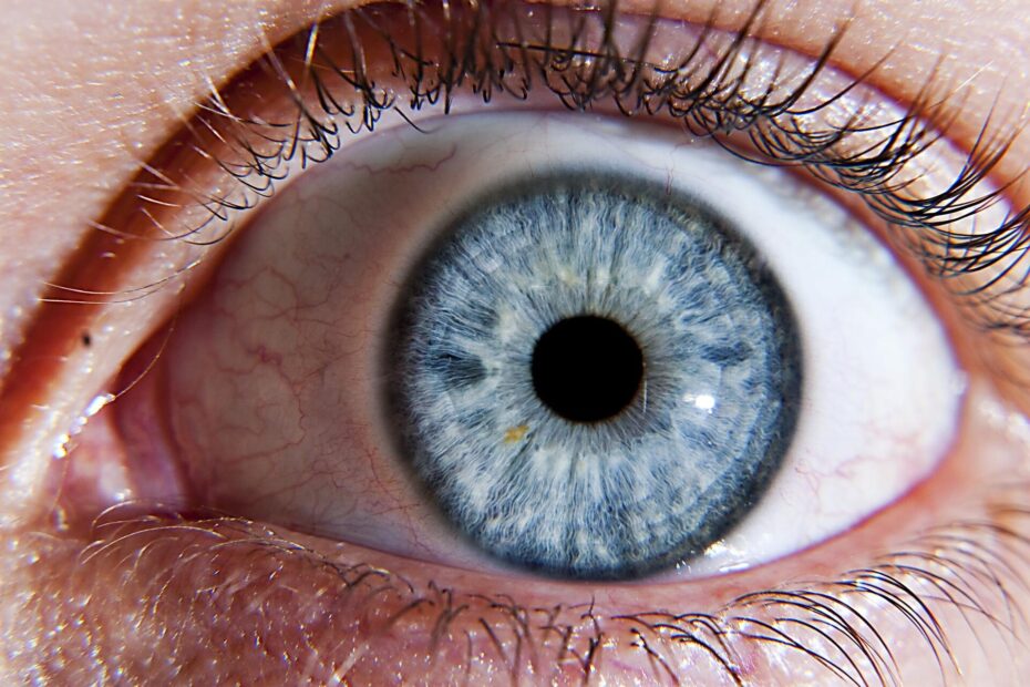 ESA Eye catching Space Technology Restoring Sight