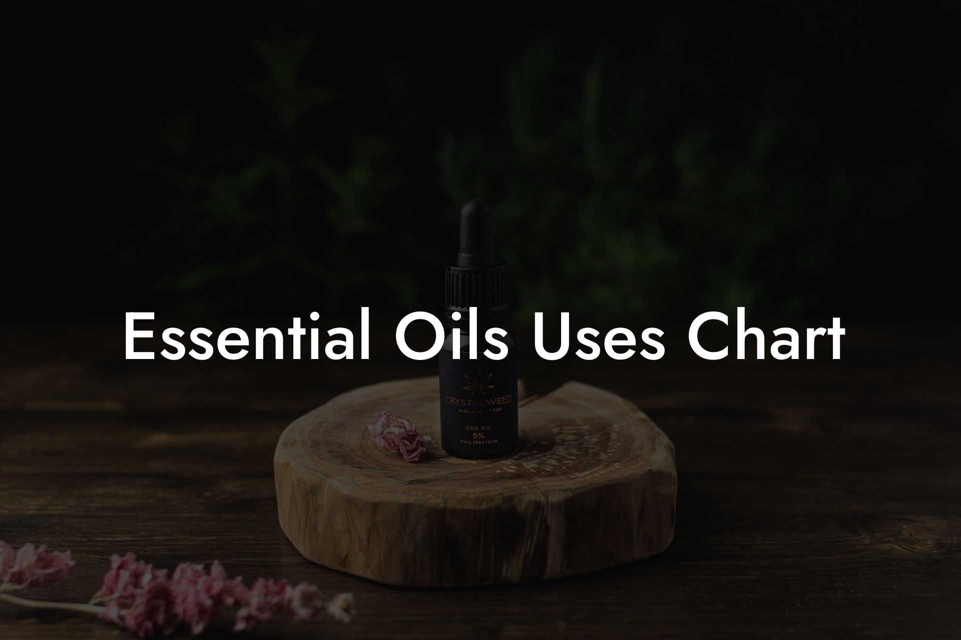Essential Oils Uses Chart Oshu Artisan Essential Oils