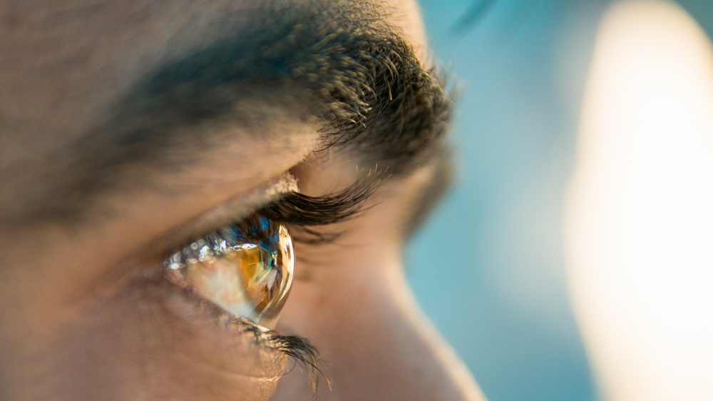 Eye Anatomy 101 Understanding How The Eye Works