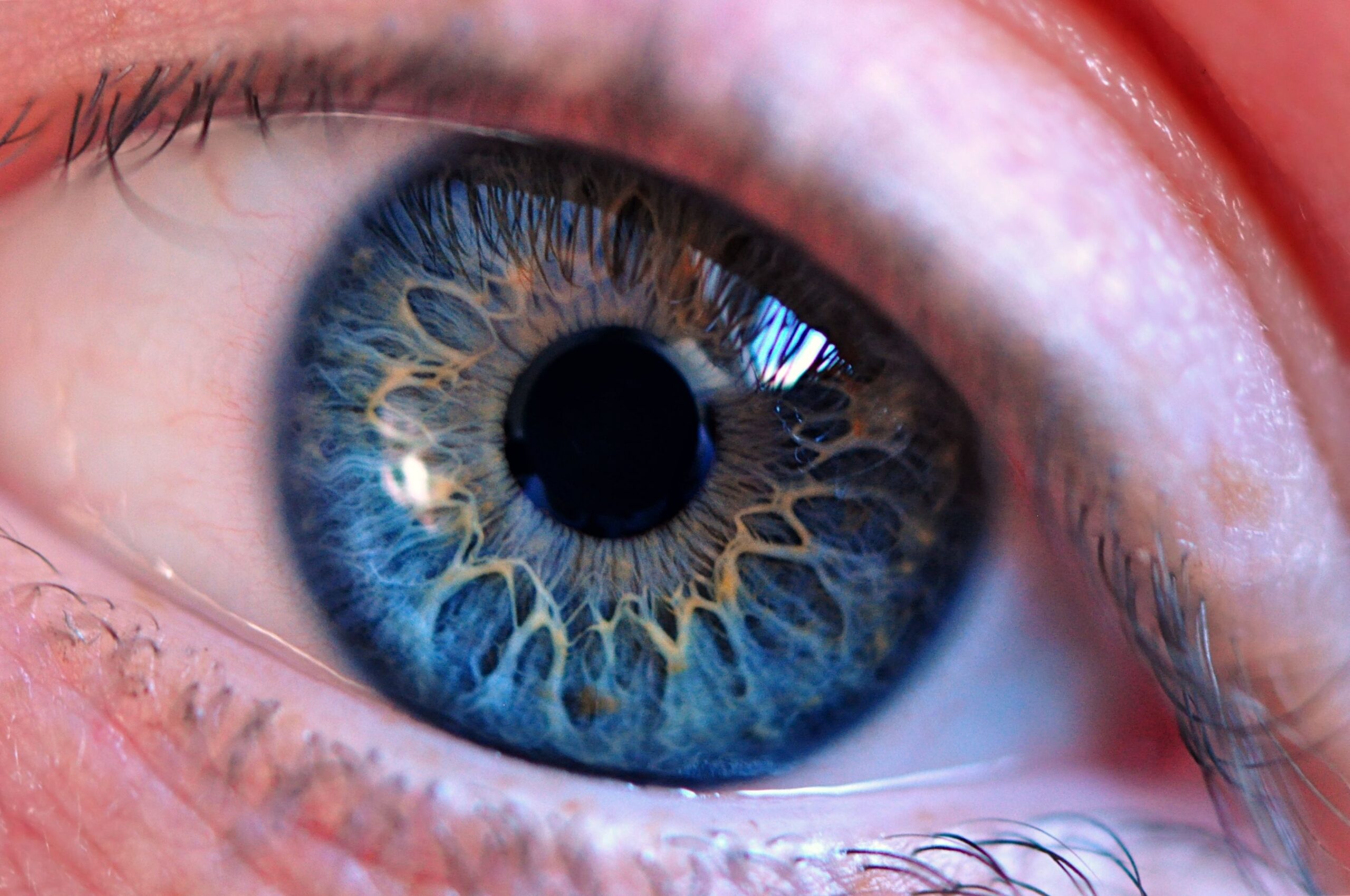 Eye By Anniewinge On DeviantArt