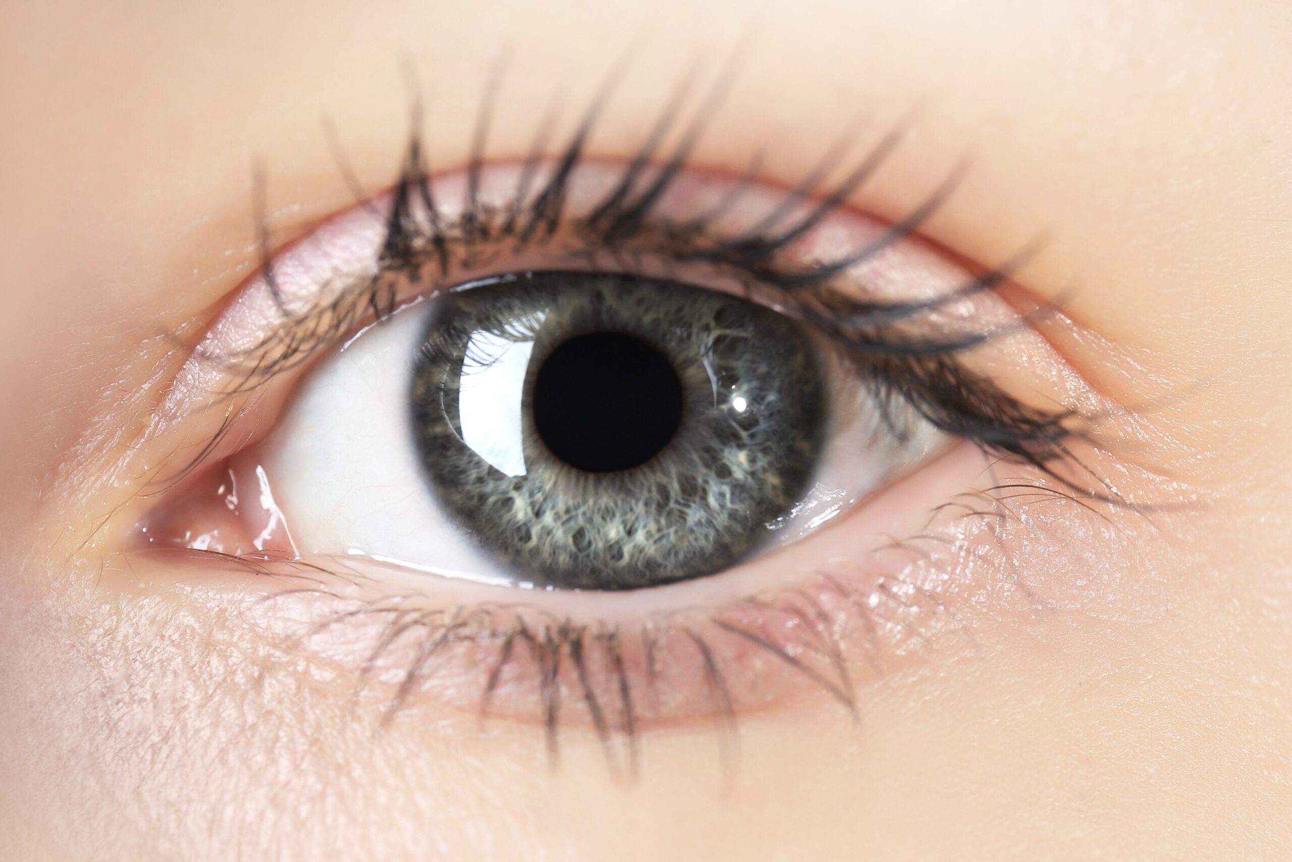 Eye Image Beautiful Eye Image 5760x3840 15459
