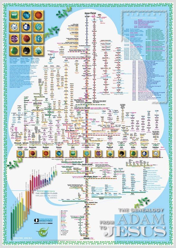 Family Tree From Adam To Jesus Poster Bible Knowledge Bible 