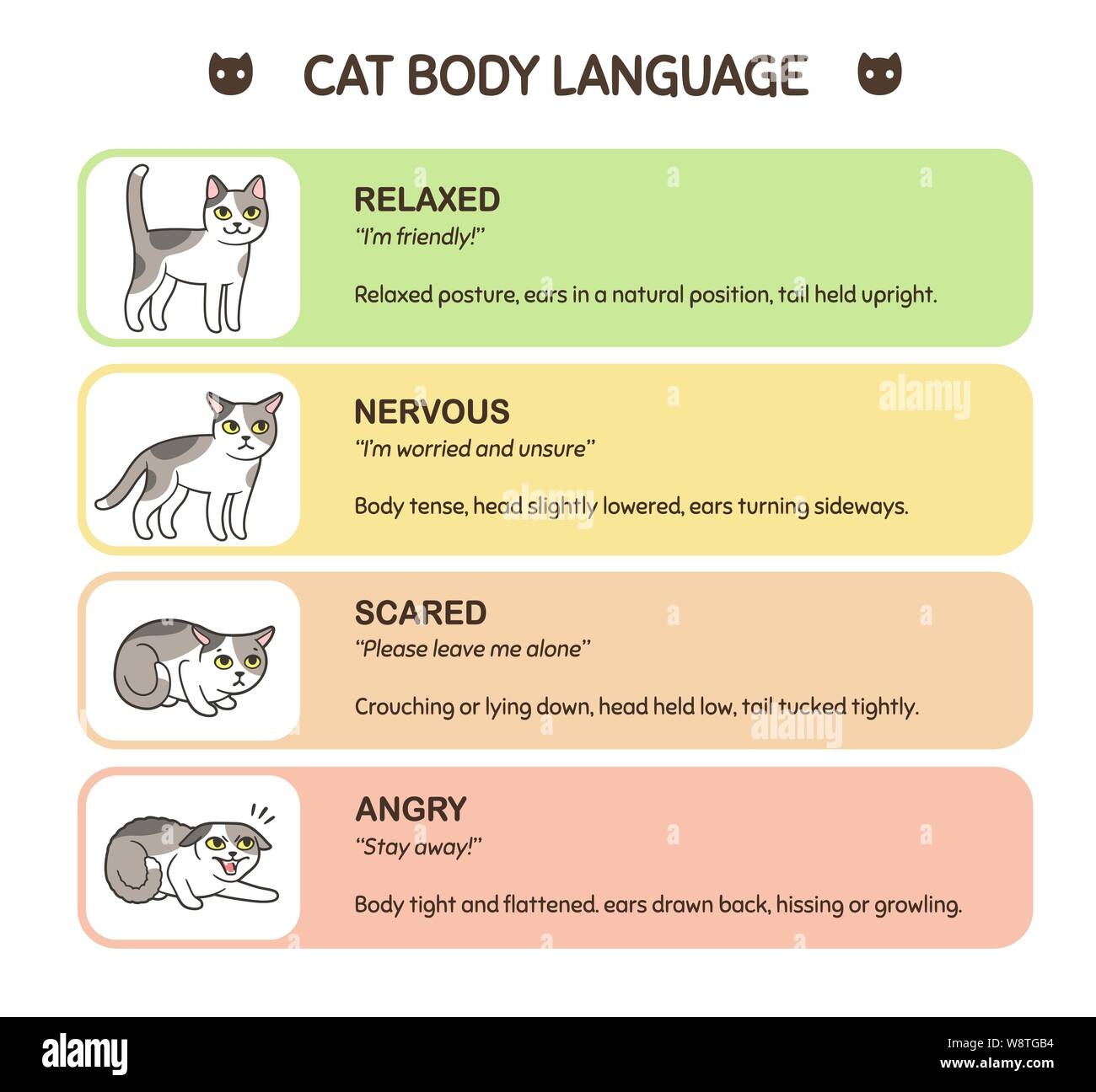 cat body language chart