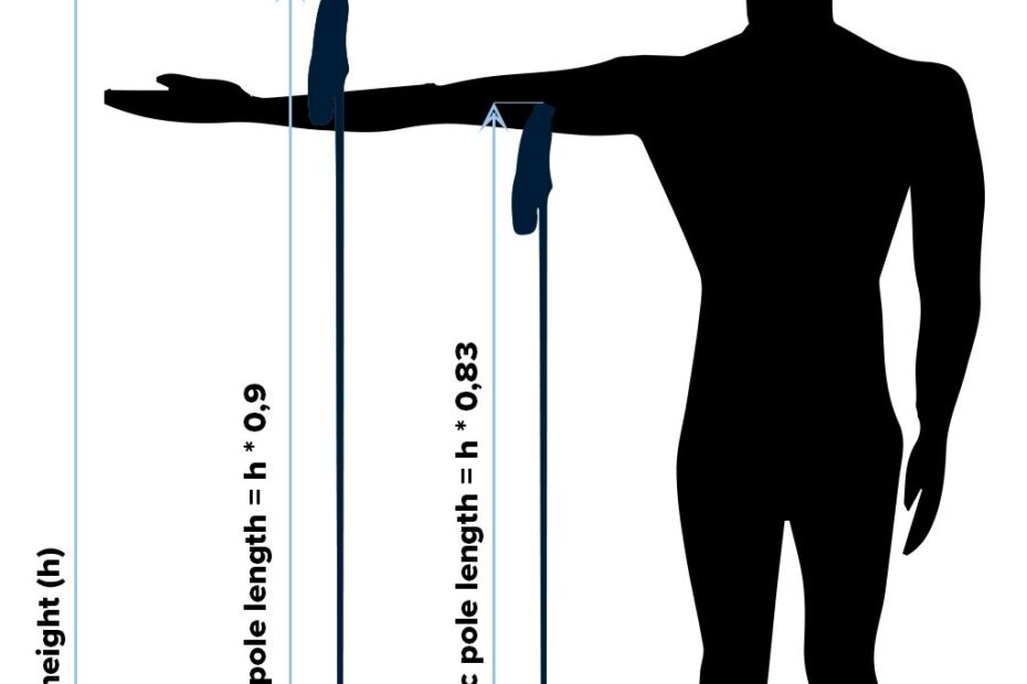 Fischer Cross Country Ski Size Chart Ski Chart Size Skis Wom