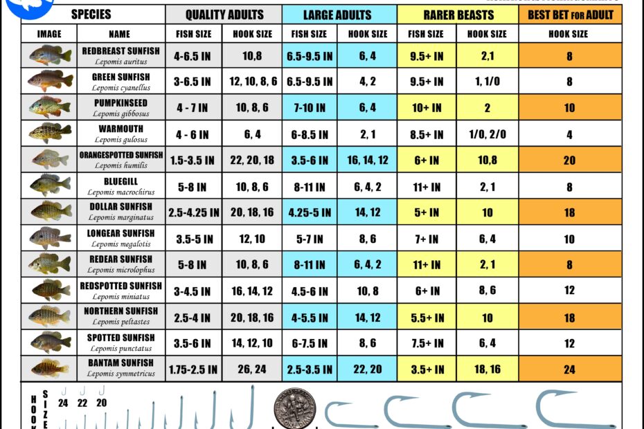Fishing Hook Types