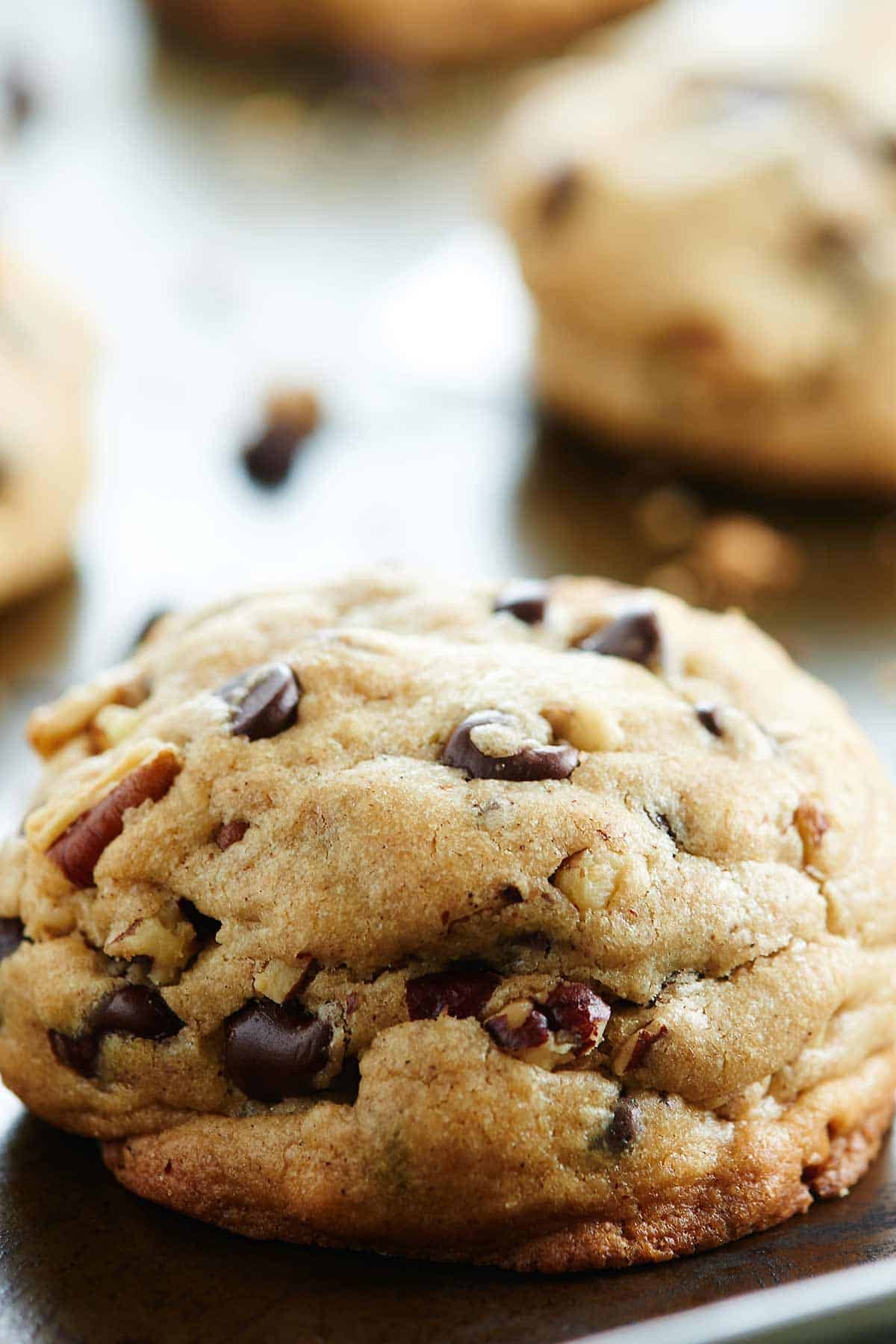 Fluffy Chocolate Chip Cookies Recipe W Toasted Pecans Fluffy Chocolate Chip Cookies Recipe W Toasted Pecans