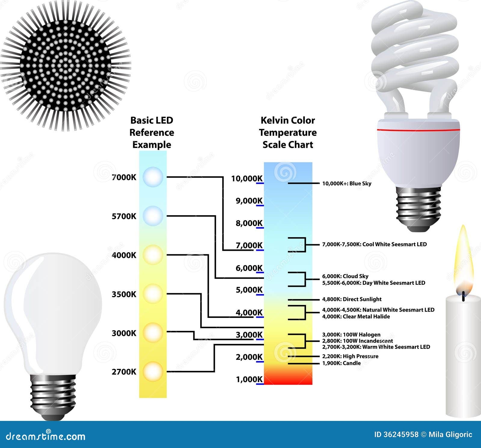 Fluorescent Light Bulb Color Temperature Chart Fluorescent Light Bulb 