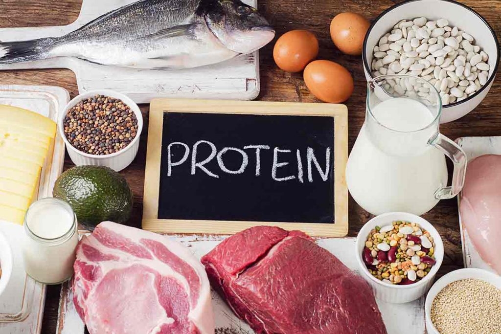 Foods High In Protein