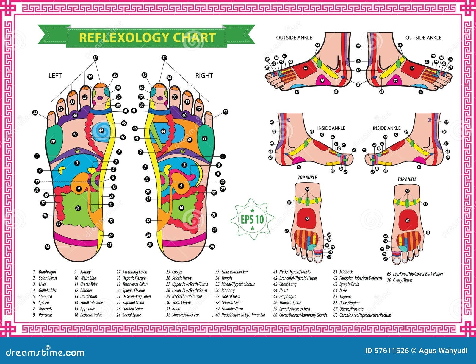 Foot Reflexology Chart Stock Illustration Illustration Of Healing Foot Reflexology Chart Stock Illustration Illustration Of Healing