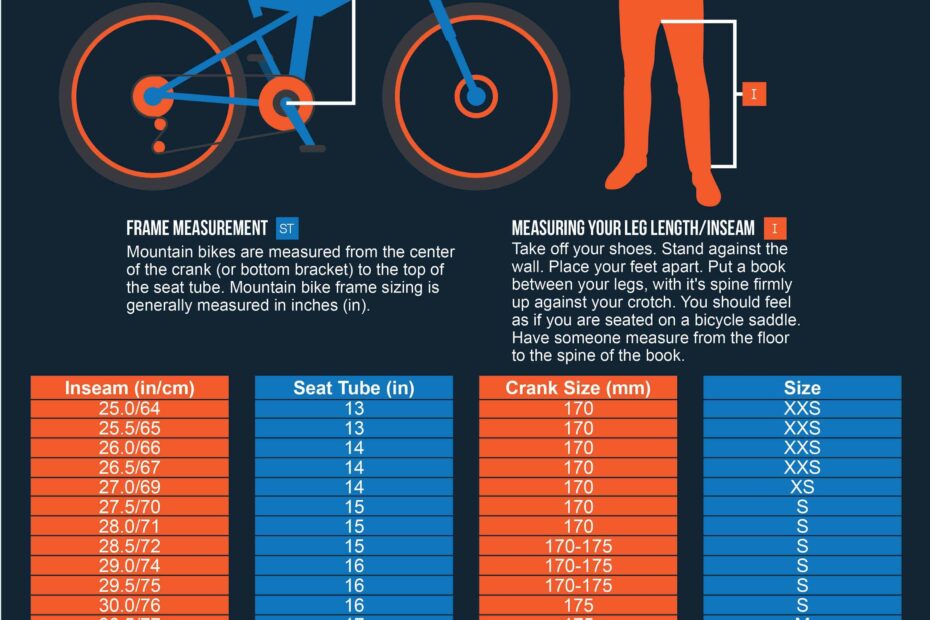 Frame Size Chart Mountain Bike Infoupdate