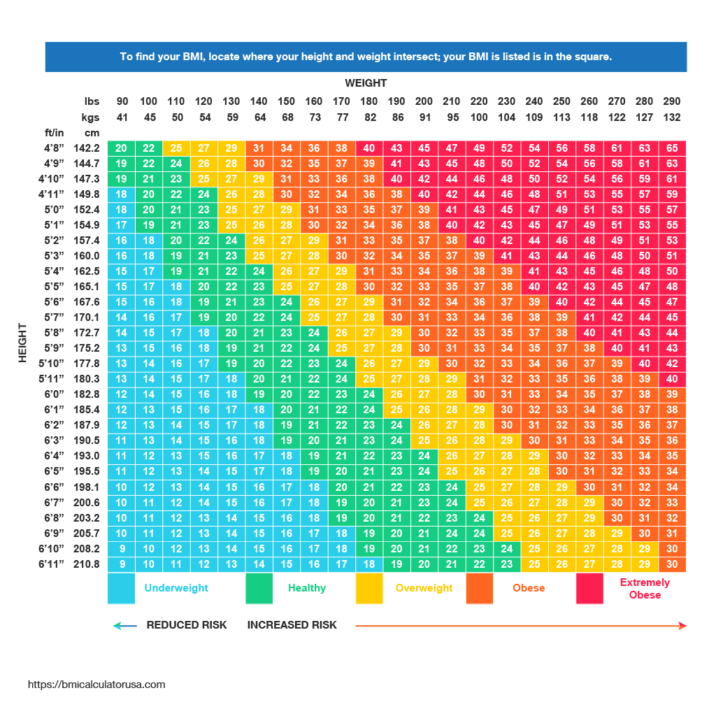 bmi weight chart for females bmi weight chart for females