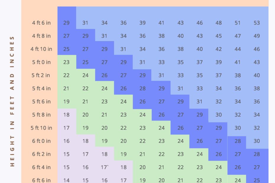 FREE BMI Chart Template Download In Word PDF Illustrator Publisher