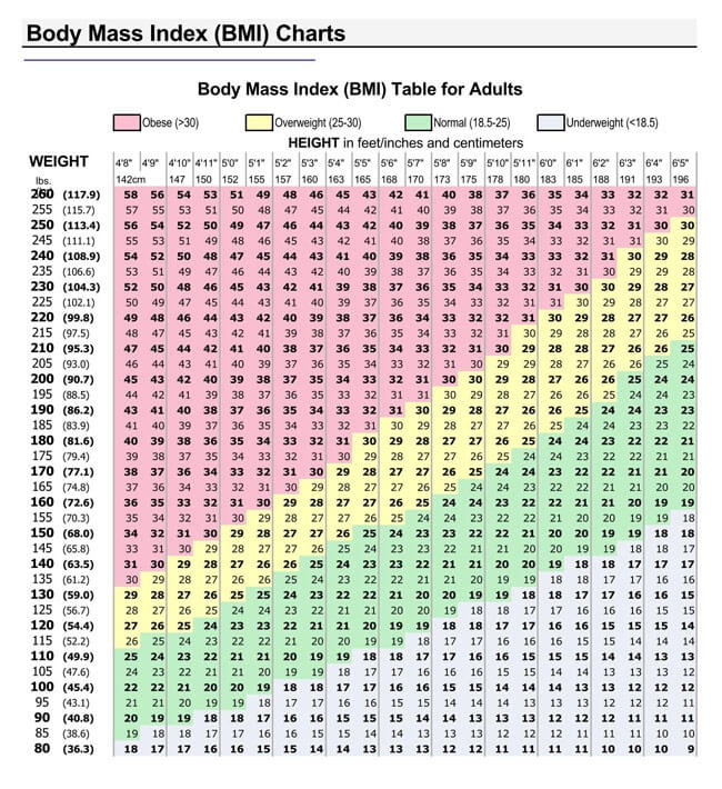 FREE Printable Body Mass Index BMI Charts Calculate BMI