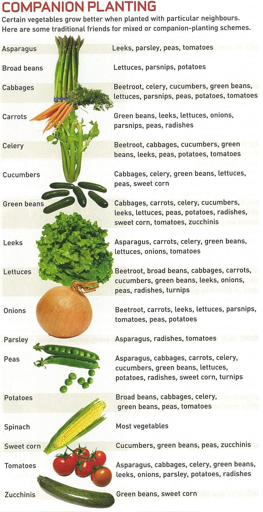 Free Printable Companion Planting Chart For Vegetables Free Printable 
