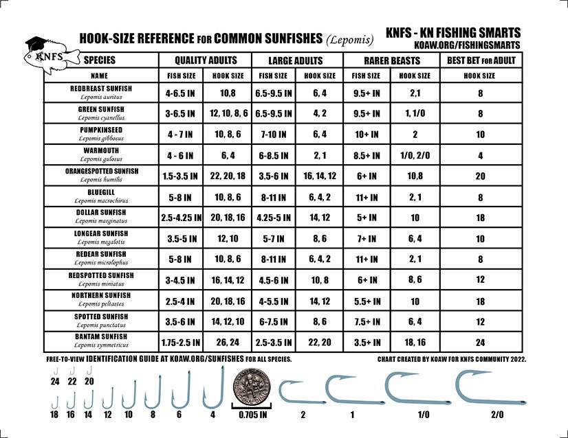 Free Printable Fish Hook Size Chart Download Free Printable Fish Hook 