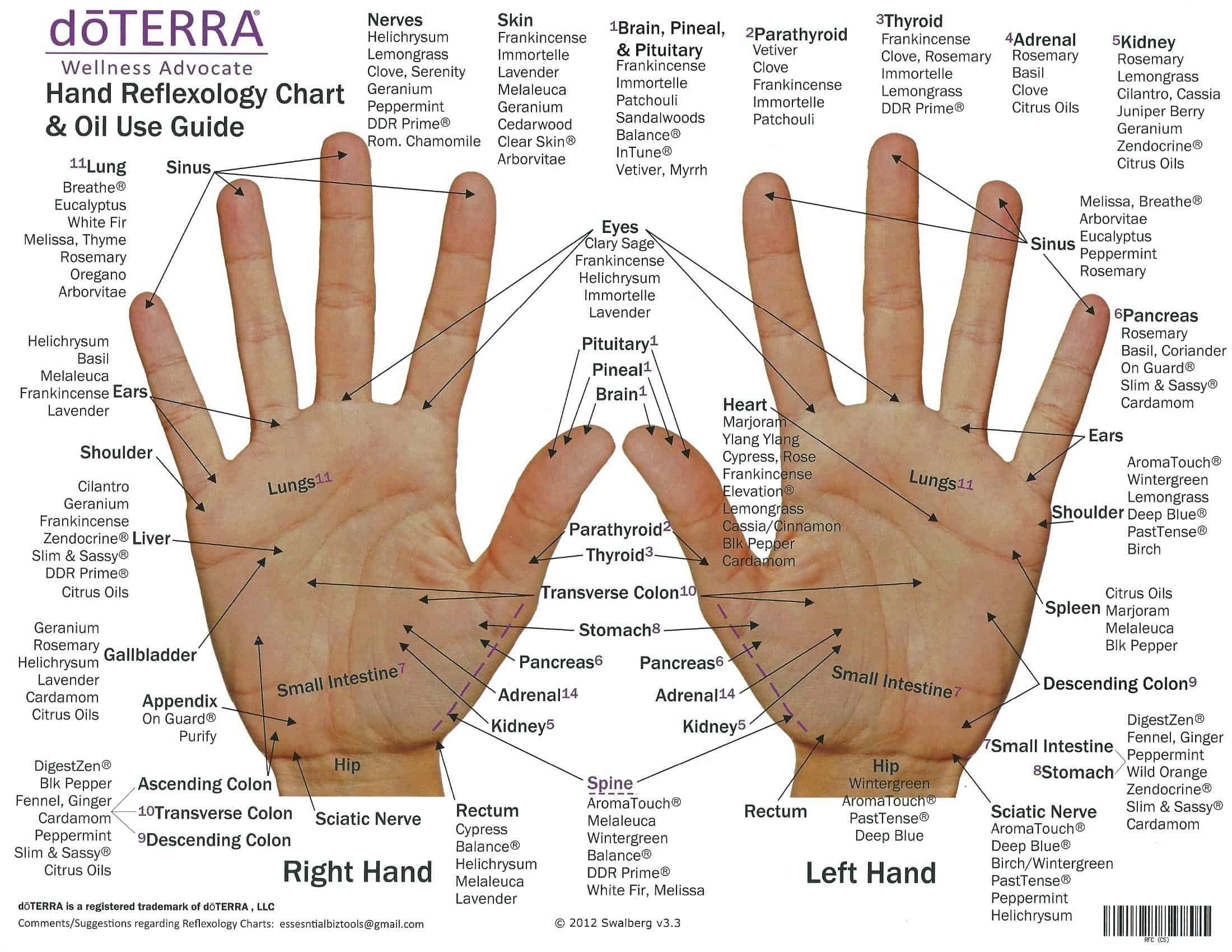 Free Printable Hand Reflexology Templates Charts Maps PDF