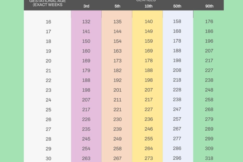 Free Printable Height Measurement Chart
