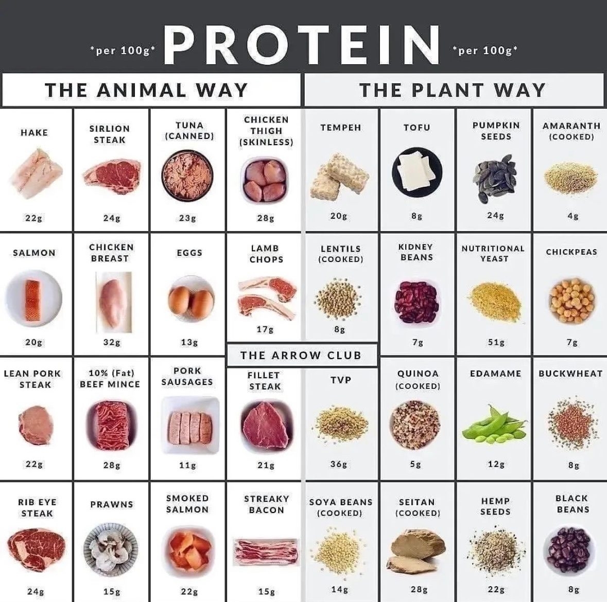 Free Printable Protein Chart Your Guide Printables For Everyone