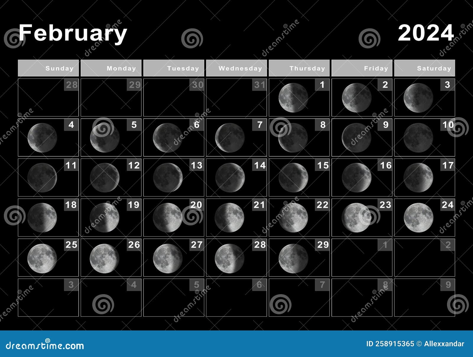 Full Moon In February 2024 Seana Courtney
