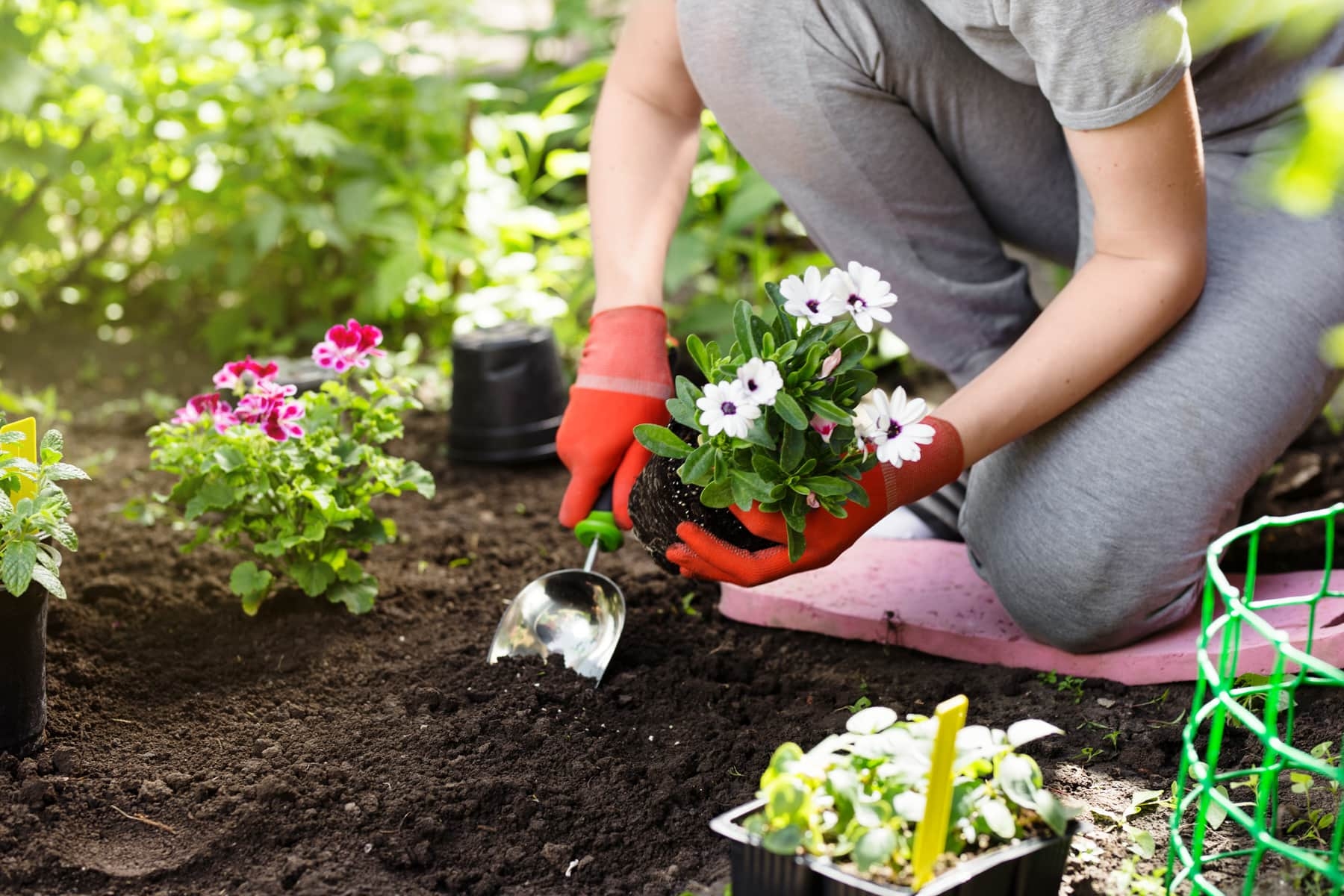Gardening Tips And Tricks For Beginners