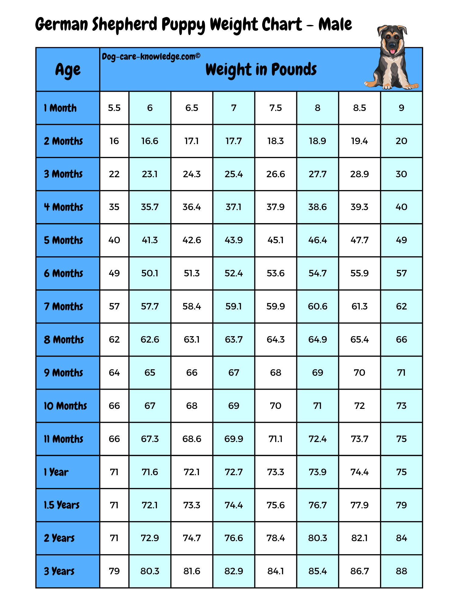 german shepherd dog growth chart german shepherd dog growth chart