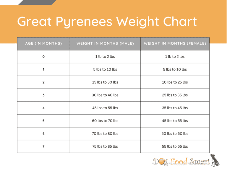 Great Pyrenees Growth Chart Weight Size Chart