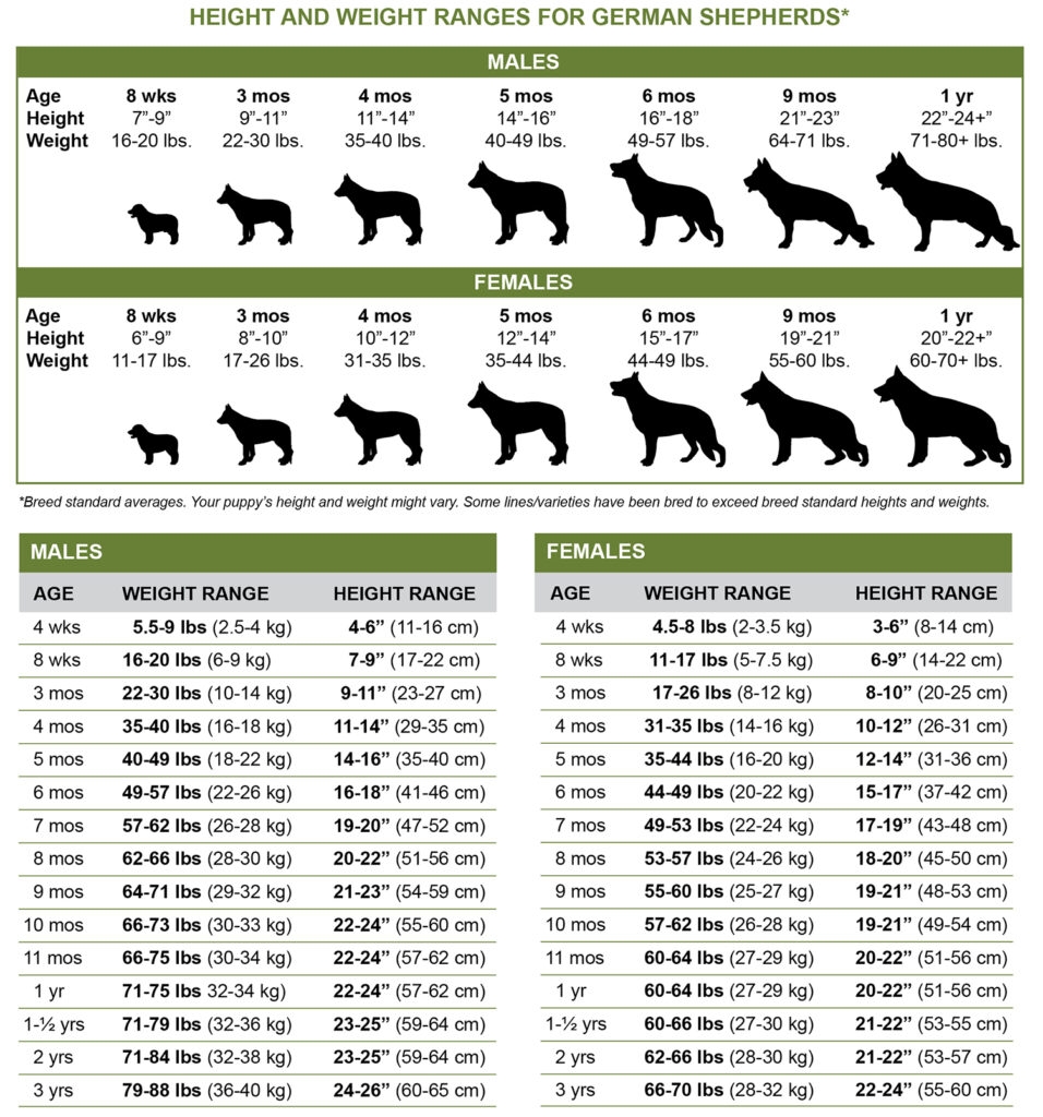 Growth Charts