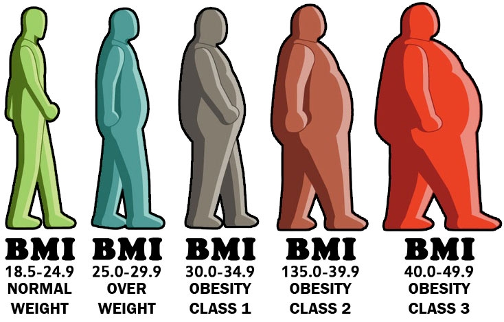 Guys Bmi Chart