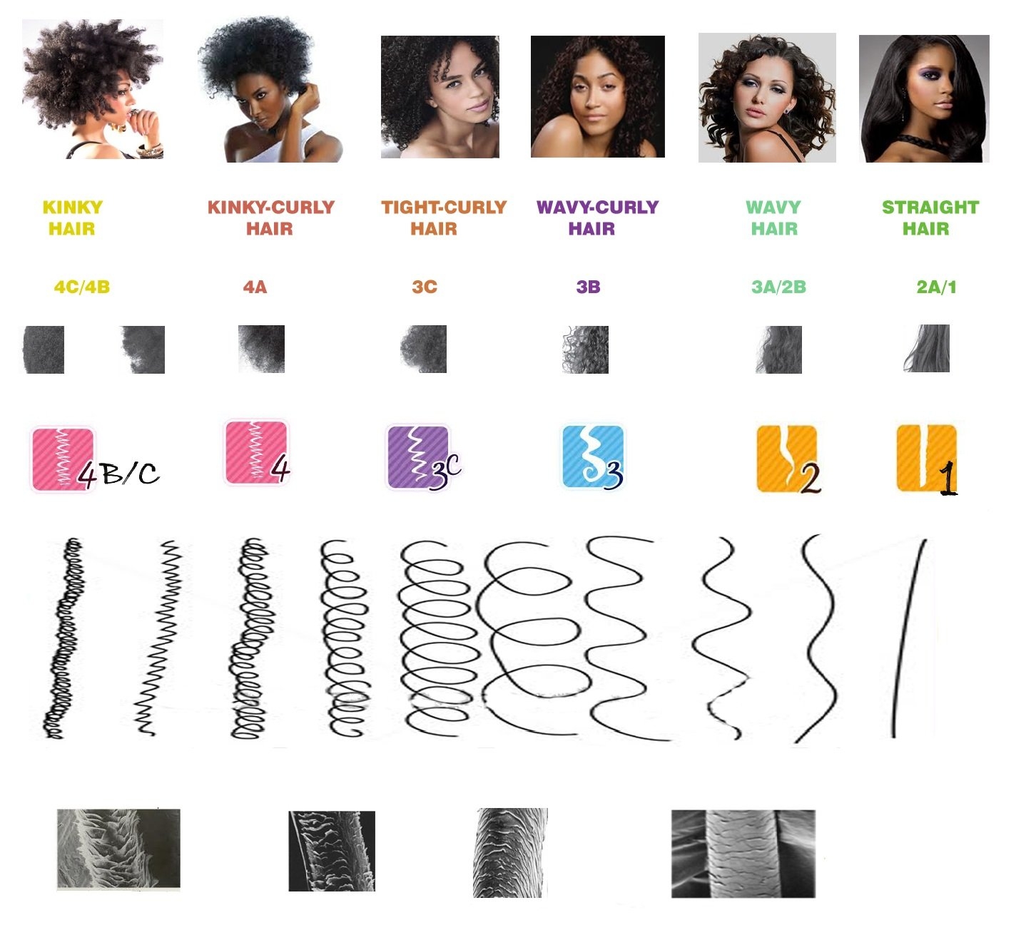 Hair And Hair Types Boldbarber