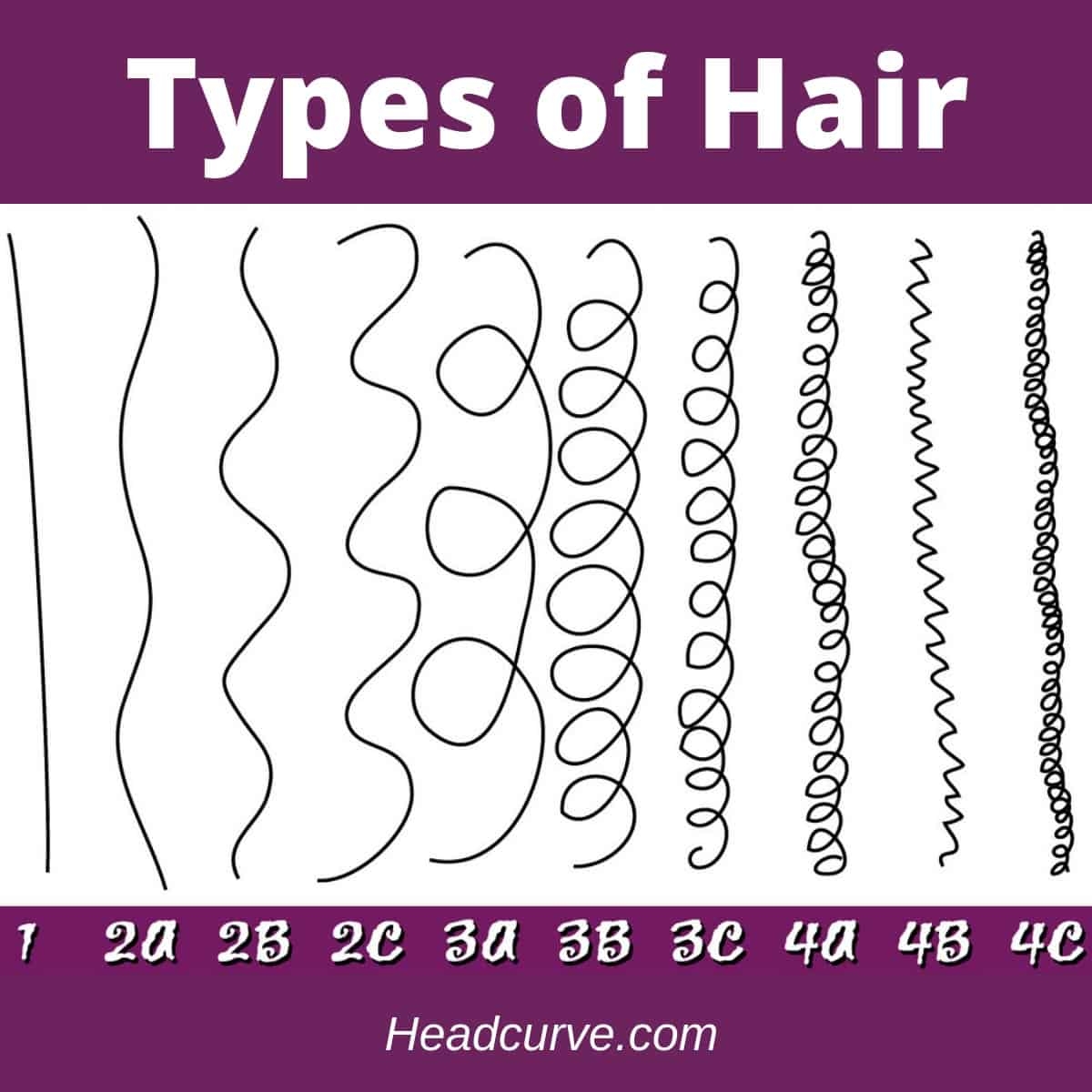 different hair types chart different hair types chart