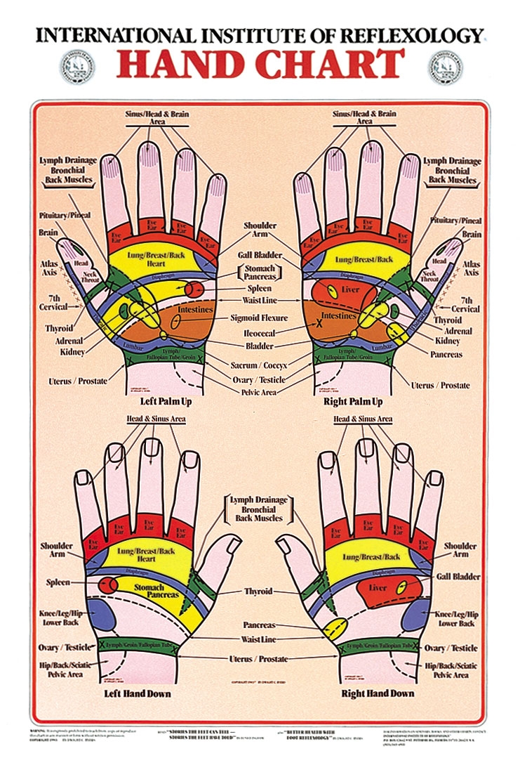 Hand Reflexology Chart Charts Hand Chart 17 X 21