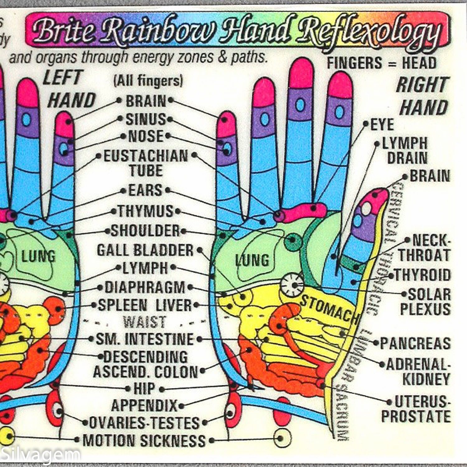 Hand Reflexology Chart Printable