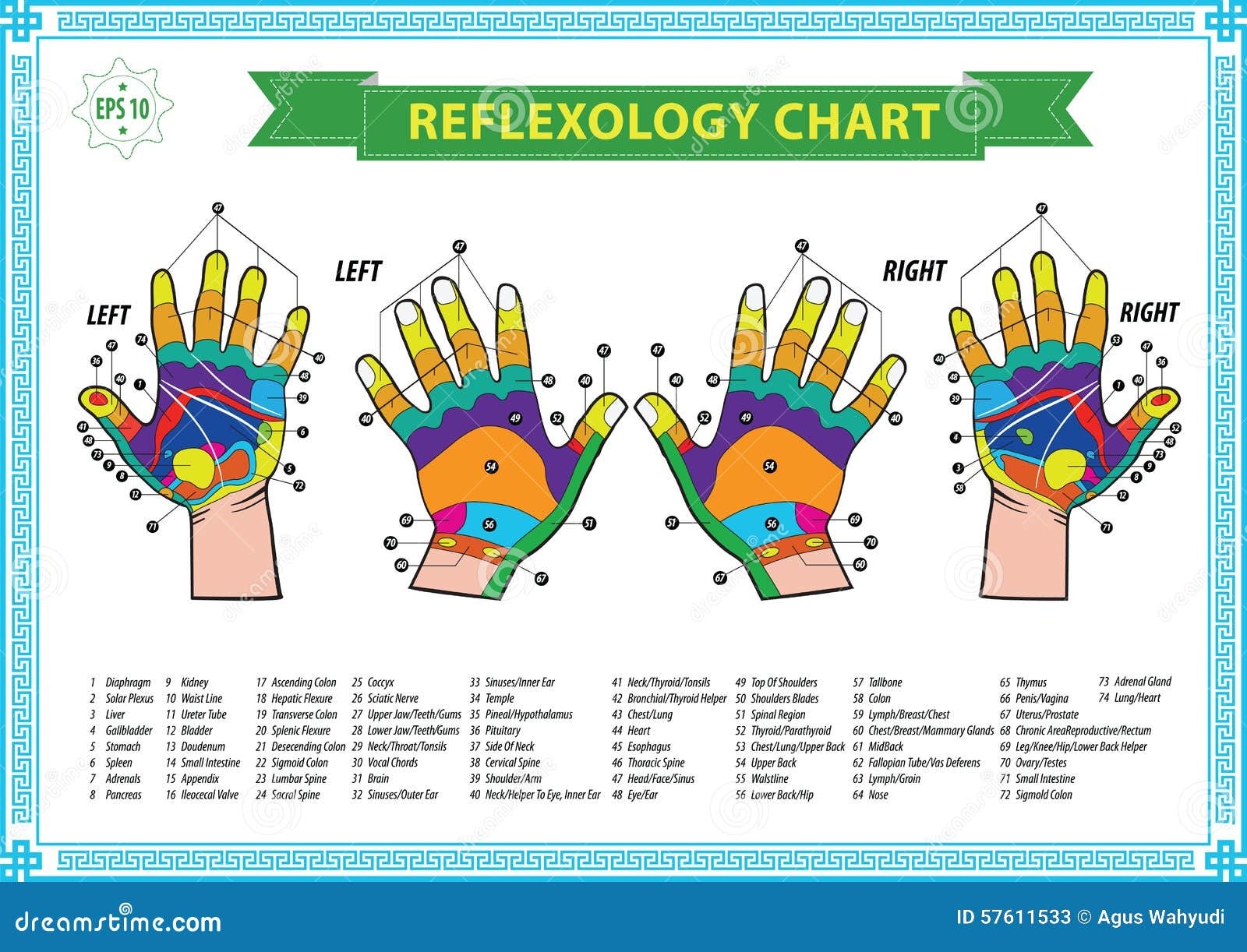 Hand Reflexology Chart Stock Illustration Illustration Of Massaging 