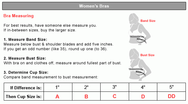Hanes Sports Bra Size Chart Ponasa