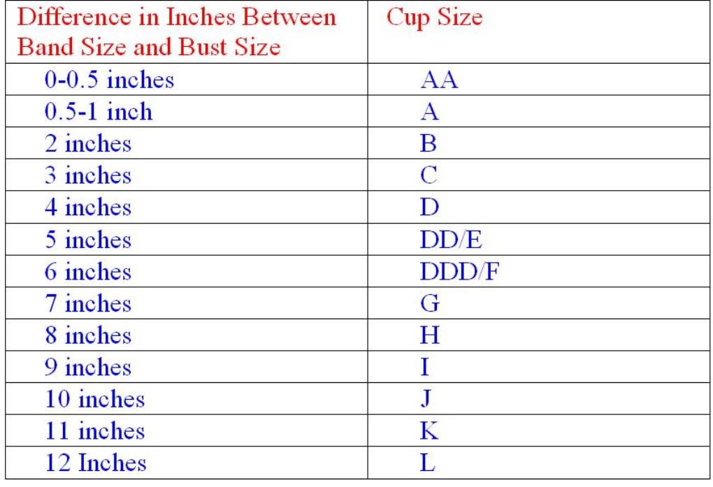 Hanes Women 39 s Bra Size Chart At Paige Appel Blog
