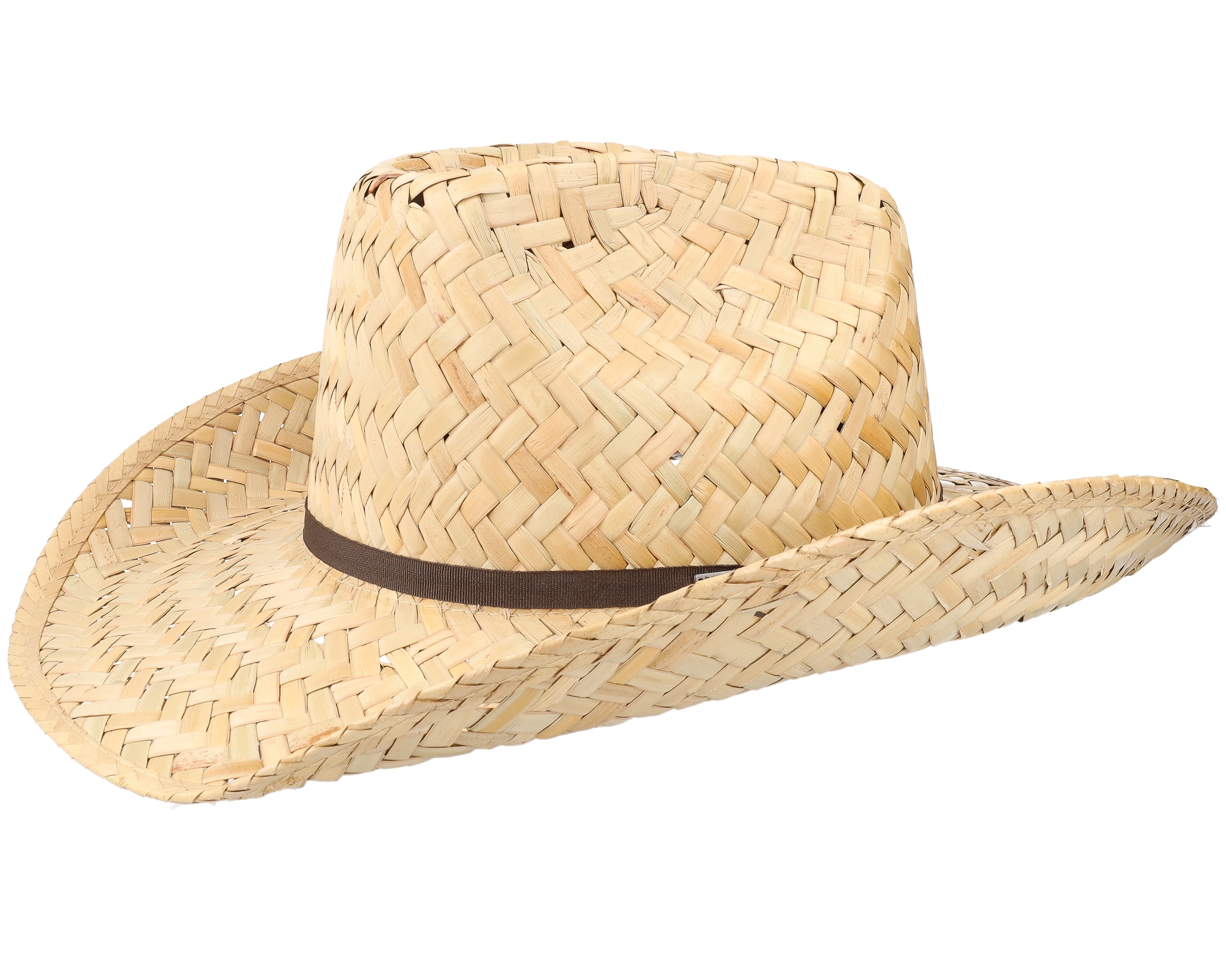 Hat Plants pk