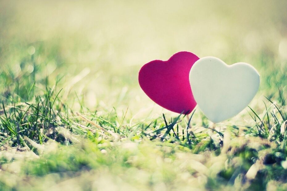 HD Love Wallpapers Wallpaper Cave